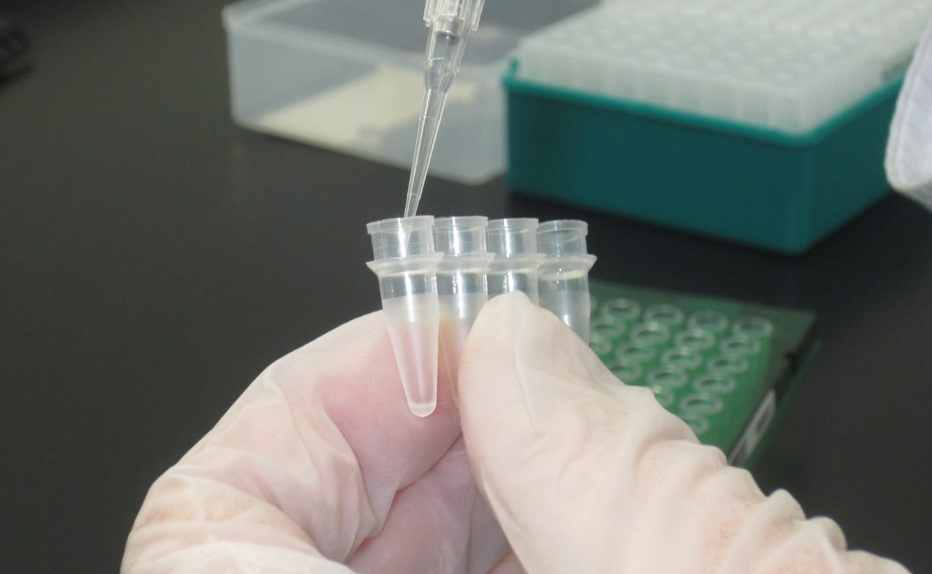 微生物試験のお申し込みはこちら