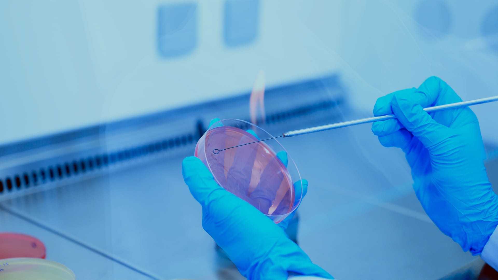 ガンマ線照射と微生物試験をワンストップで。滅菌のソリューションをご提案、ご提供できます。